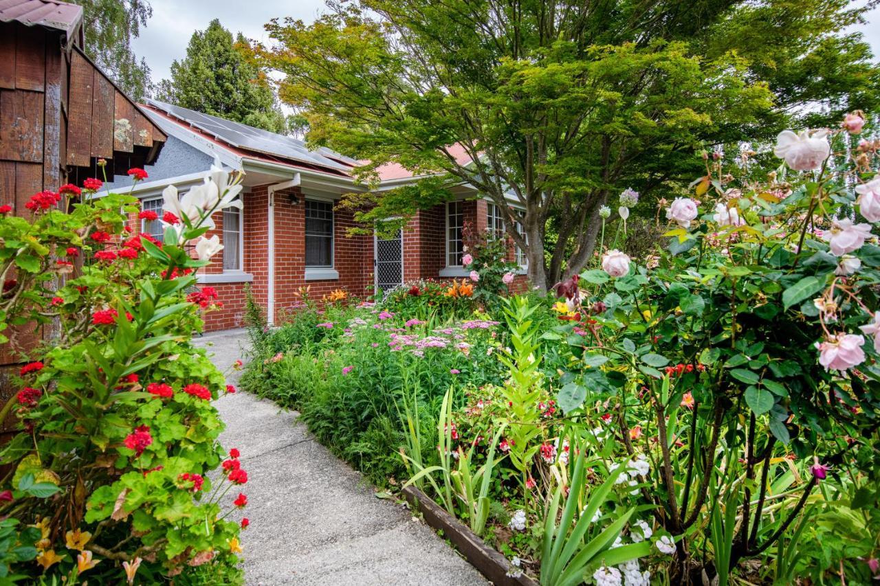 Alexandria Bed And Breakfast Wynyard Εξωτερικό φωτογραφία